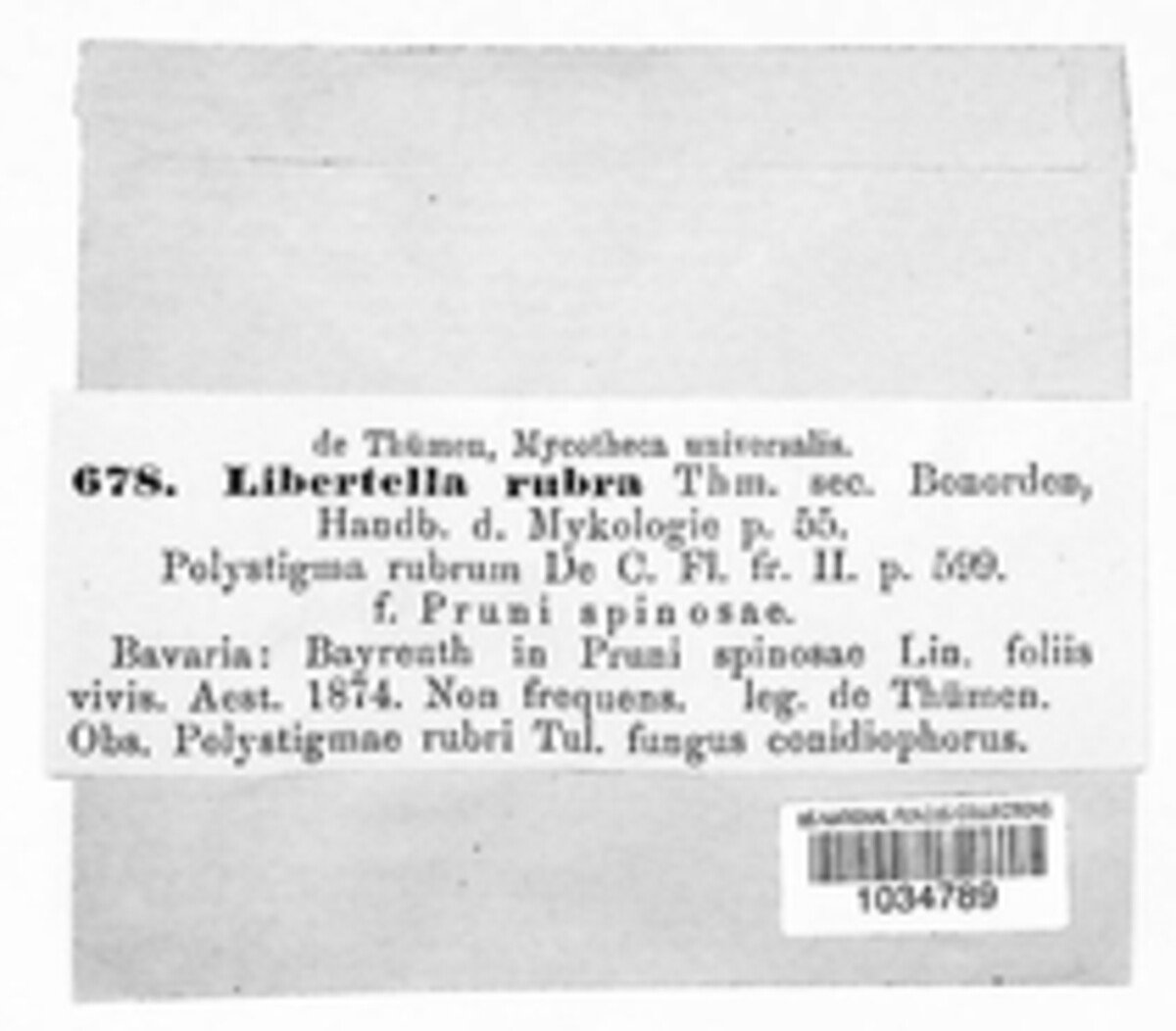 Polystigma rubrum image